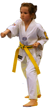 Taekwondo punching