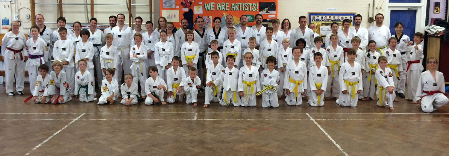 Phoenix Taekwondo Class