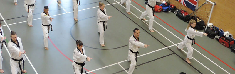 dan poomsae